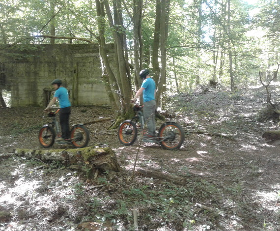 Trott 3